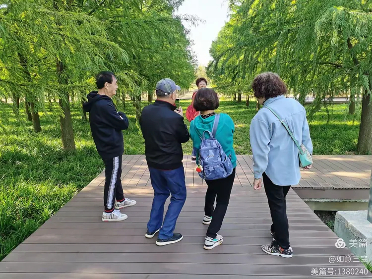 金秋时节，天高云淡。微风轻拂，不冷不热。兄弟姐妹相约结伴而行——滨江森林公园踏秋赏景掠影2022年1